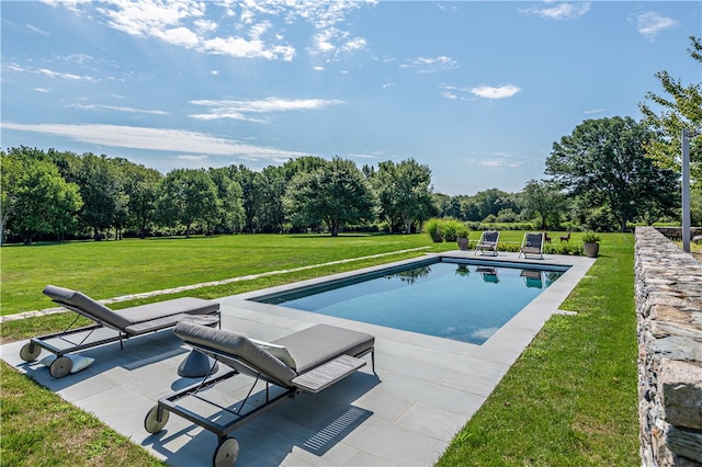 view of swimming pool featuring a lawn and a patio