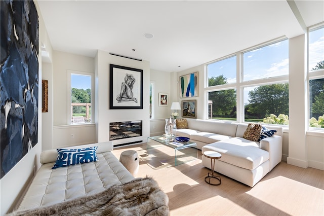 living room with light wood-type flooring and a wealth of natural light