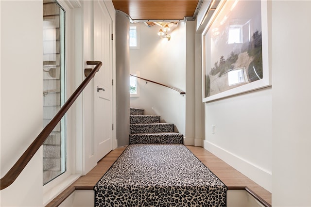 stairs with hardwood / wood-style flooring