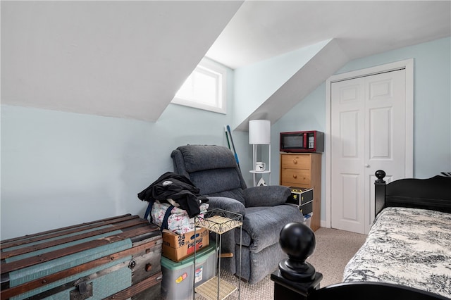 carpeted bedroom with a closet