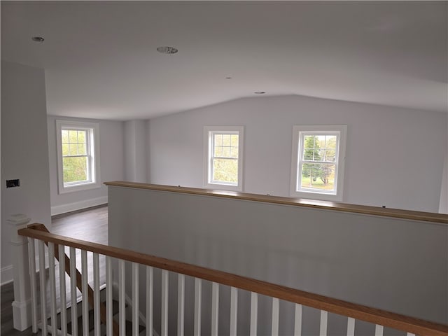 hall featuring lofted ceiling and wood-type flooring