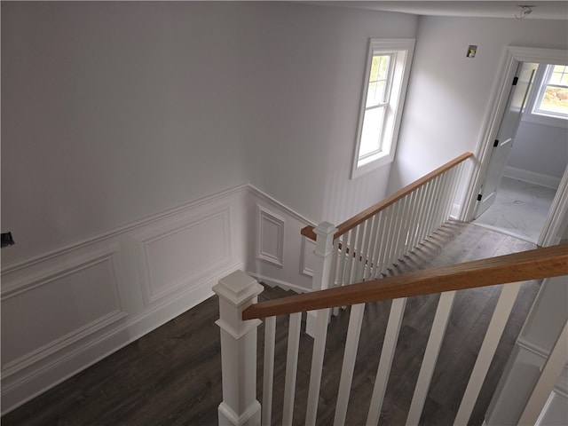 stairway featuring wood-type flooring and plenty of natural light