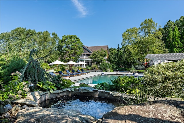 view of swimming pool with a patio area