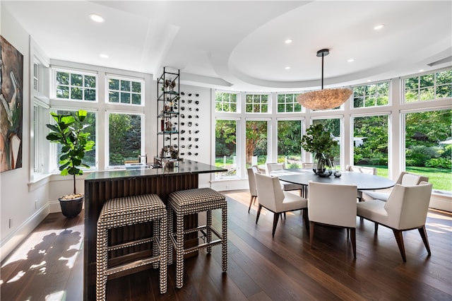 dining space featuring a wealth of natural light and dark hardwood / wood-style floors