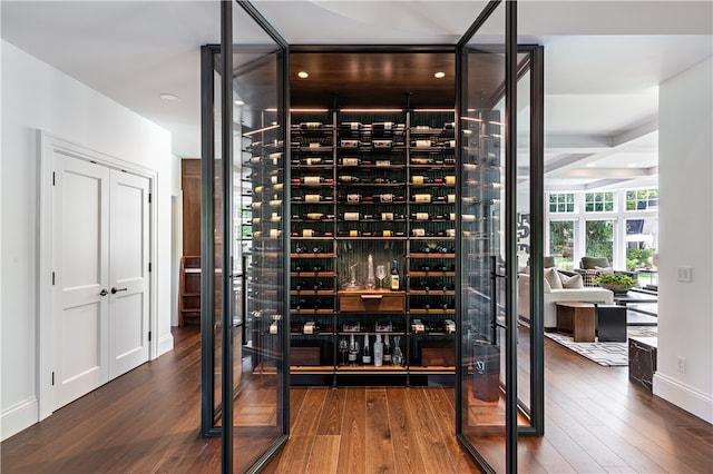 wine area with dark hardwood / wood-style floors