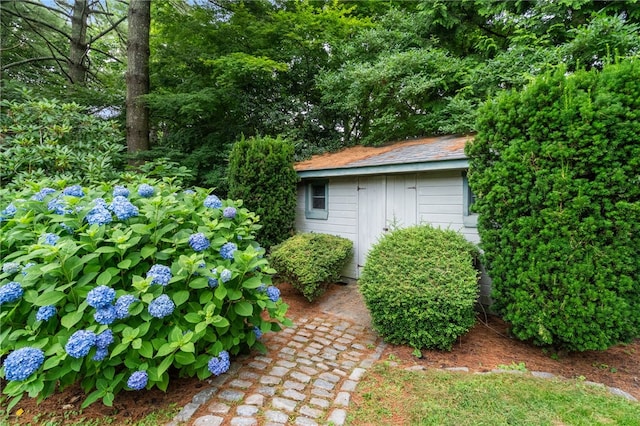 view of yard with a shed