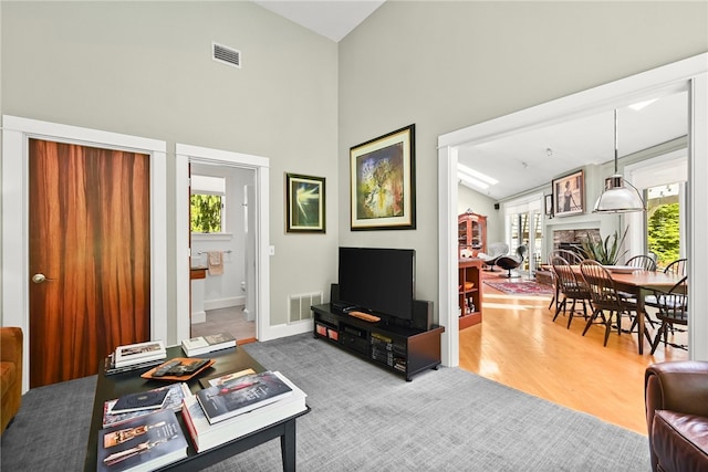 living room with vaulted ceiling and wood-type flooring