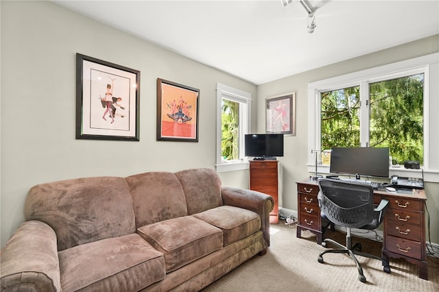 carpeted office with track lighting and a healthy amount of sunlight