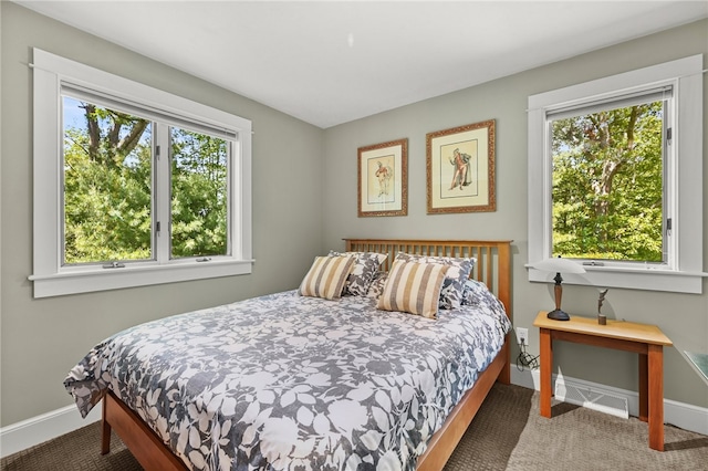 bedroom featuring carpet flooring and multiple windows