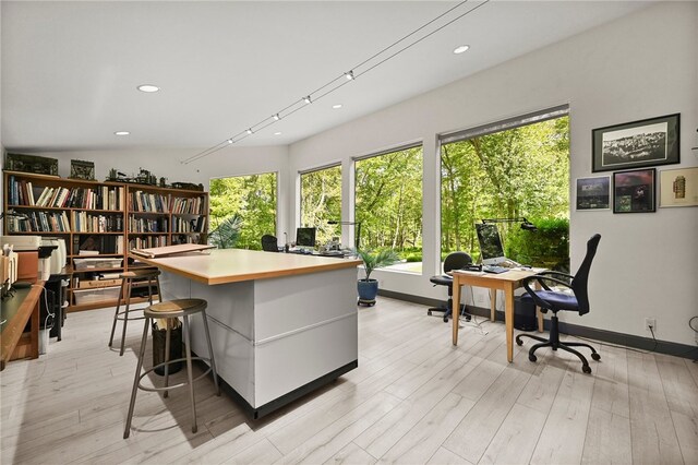 office featuring light hardwood / wood-style flooring, lofted ceiling, and a wealth of natural light