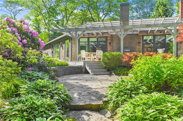 back of house with a patio and a pergola