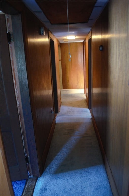 corridor featuring carpet and wood walls