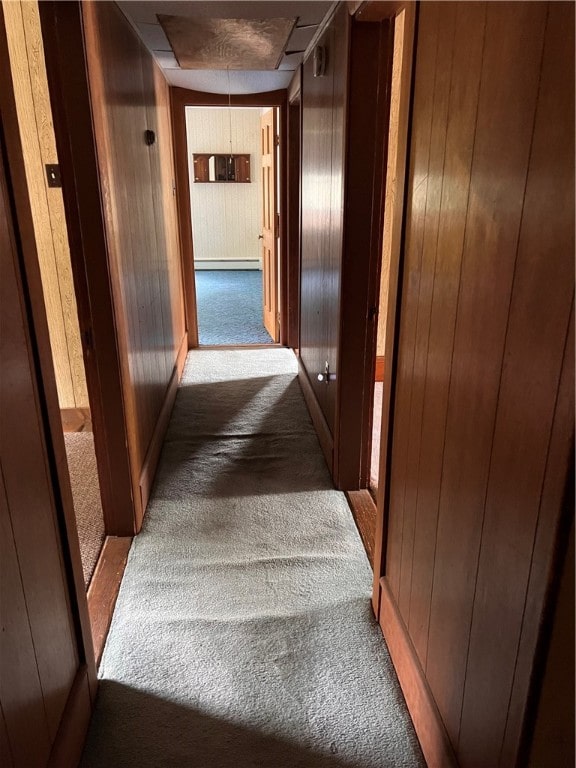 corridor featuring wood walls and carpet floors