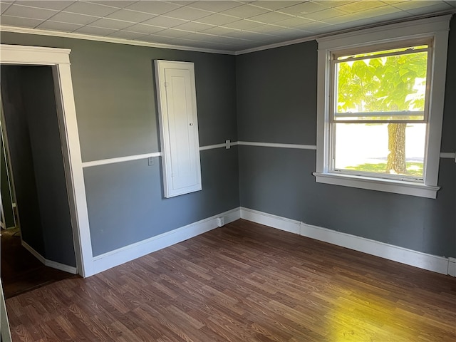 spare room featuring wood-type flooring and ornamental molding