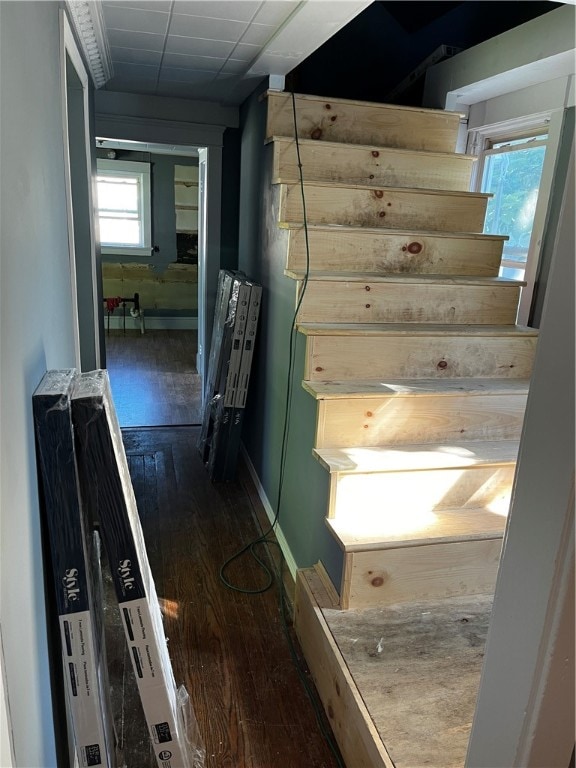 interior space featuring a wealth of natural light and wood-type flooring