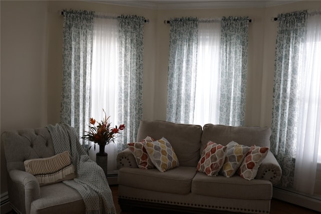 interior space featuring a baseboard heating unit, hardwood / wood-style flooring, and crown molding