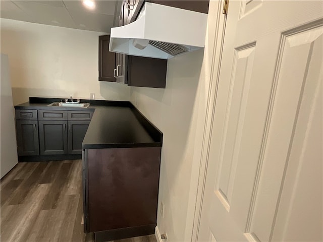 kitchen featuring dark wood-type flooring and sink