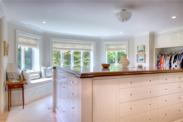 interior space featuring crown molding and a healthy amount of sunlight