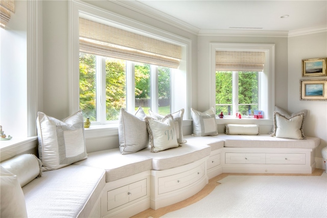 living area with ornamental molding and a healthy amount of sunlight