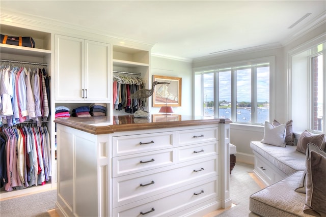 walk in closet featuring light colored carpet