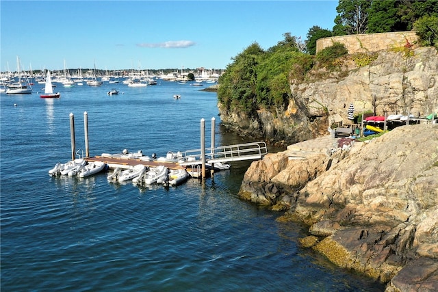 dock area with a water view