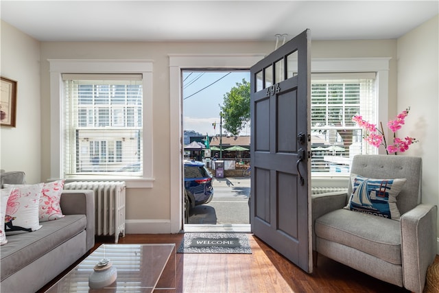 interior space with dark hardwood / wood-style flooring, radiator heating unit, and plenty of natural light