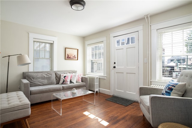 living room featuring radiator heating unit and a wealth of natural light