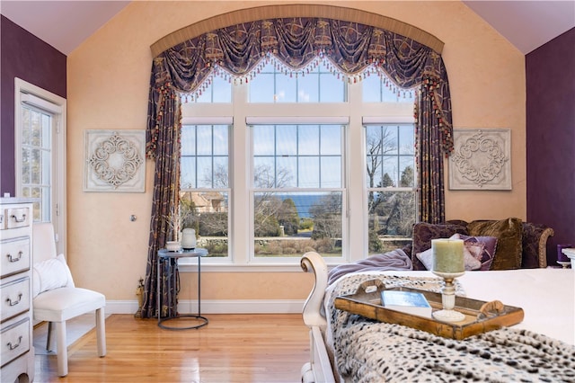 dining space featuring vaulted ceiling and plenty of natural light