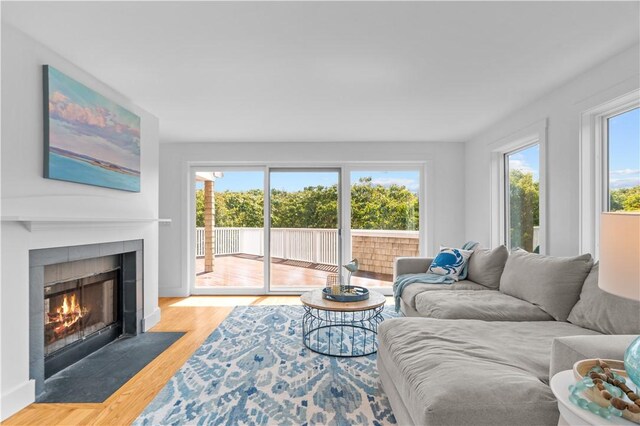 living room featuring light hardwood / wood-style floors and a tiled fireplace