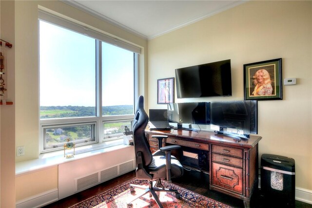 office featuring a healthy amount of sunlight and ornamental molding