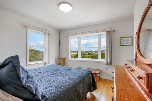 bedroom featuring multiple windows and light hardwood / wood-style floors