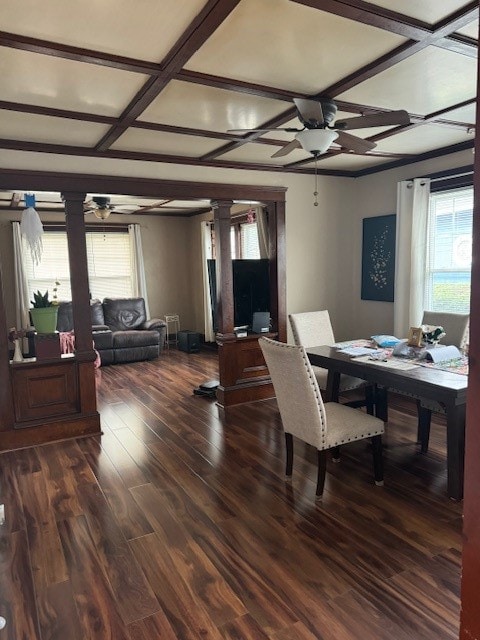 dining room featuring ceiling fan, coffered ceiling, and dark hardwood / wood-style floors