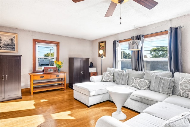 living room with ceiling fan and light hardwood / wood-style flooring