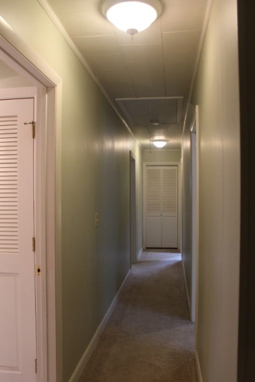 corridor with crown molding and carpet flooring