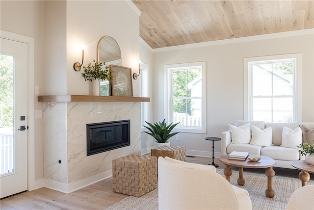 living room with a fireplace, plenty of natural light, and light hardwood / wood-style flooring