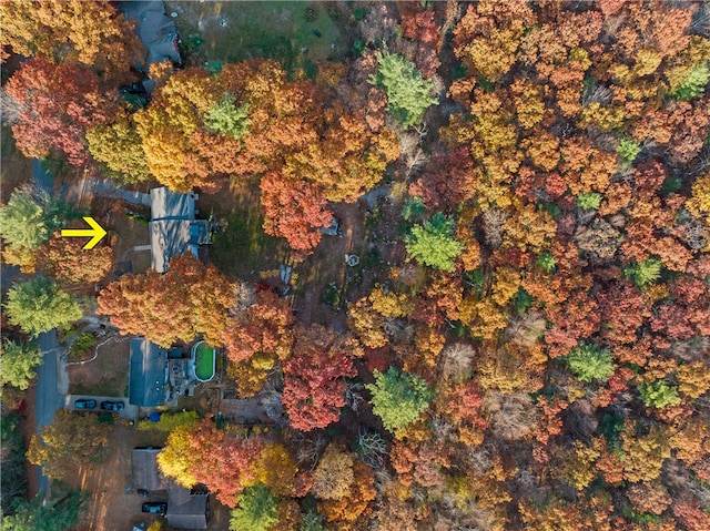 bird's eye view