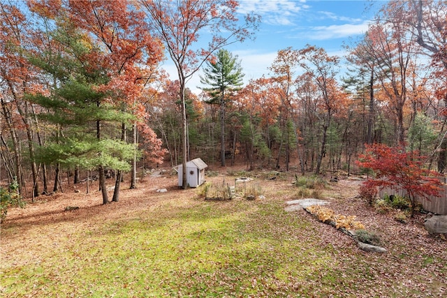 view of yard with a storage shed