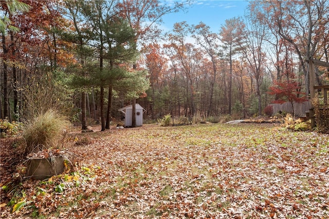 view of yard featuring a shed