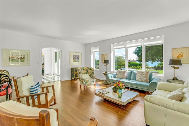 living room with hardwood / wood-style floors