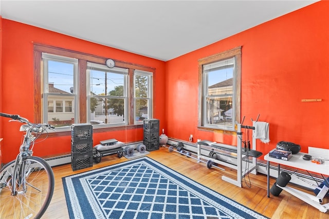 interior space featuring a healthy amount of sunlight and hardwood / wood-style floors