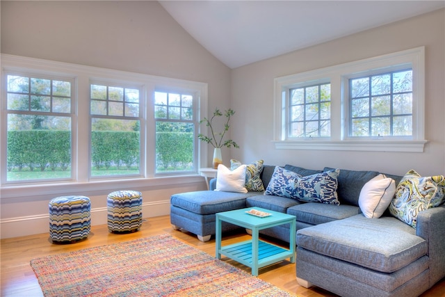 living room featuring lofted ceiling, plenty of natural light, and wood-type flooring