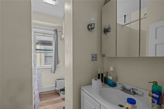 bathroom featuring hardwood / wood-style floors and vanity