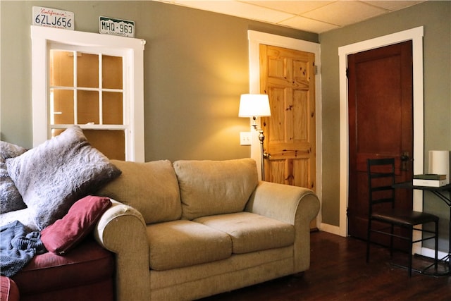 living room featuring dark wood-type flooring