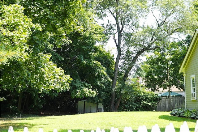 view of yard featuring a storage unit