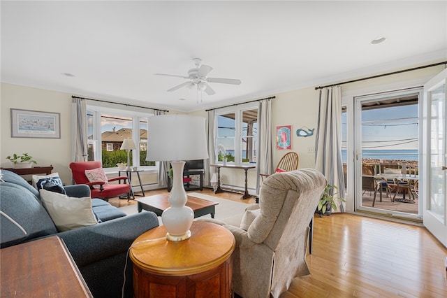 living room with ceiling fan and light hardwood / wood-style floors