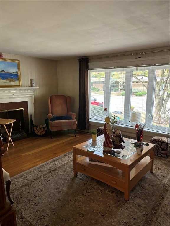 living room with wood-type flooring