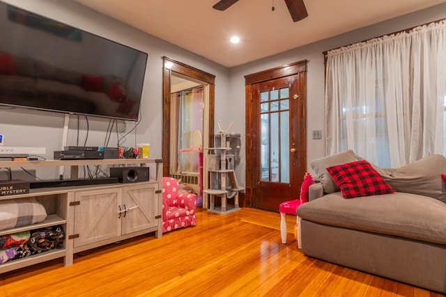 living area featuring ceiling fan and light wood-type flooring