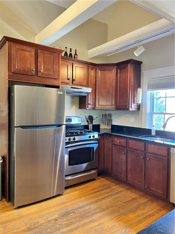 kitchen with light hardwood / wood-style flooring, lofted ceiling, stainless steel appliances, and sink