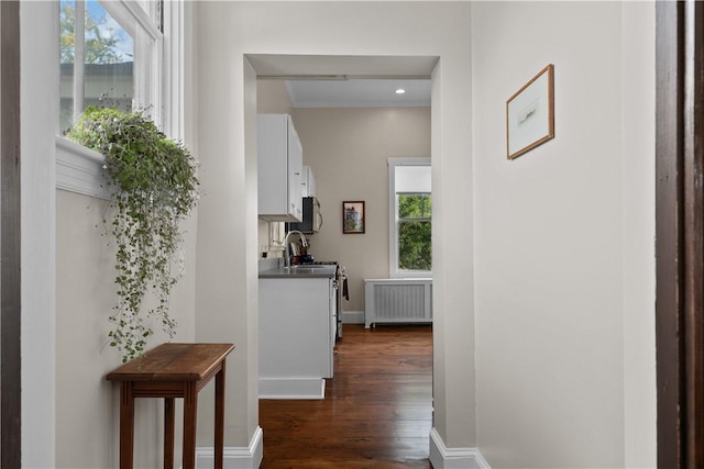 68 Kay St, Newport, RI 02840 - corridor with radiator heating unit, baseboards, and dark wood finished floors