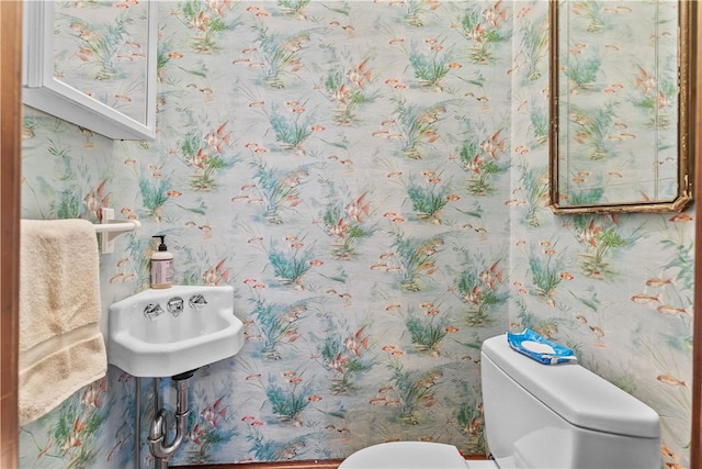 68 Kay St, Newport, RI 02840 - bathroom with a sink, wallpapered walls, and toilet